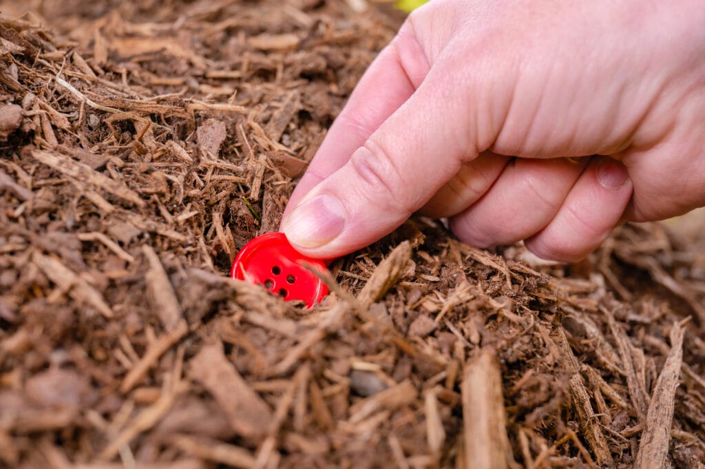 Planter pour cultiver
